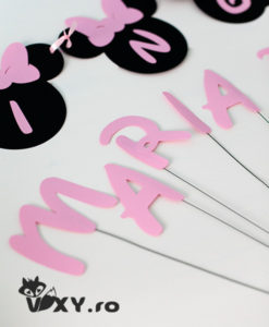 litere decupate, litere pe bete, litere nume personalizat, petreceri personalizate, vixy.ro, papetarie petrecere, papetarie personalizata, litere carton