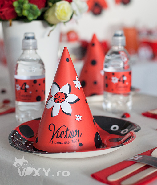 petreceri tematice, petreceri personalizate, petreceri copii, petrecere buburuze, petrecere aniversara tema buburuze, papetarie buburuze, papetarie petrecere personalizata, tema buburuze, buburuze, buburuza, petrecere buburuze, rosu si negru, vixy.ro, vixy design, petreceri vixy, papetarie buburuze, buburuze personalizate, petrecere fete, petrecere baieti, baby shower buburuze, mama to be buburuze, tema personalizata buburuze, botez buburuze, candy bar buburuze
